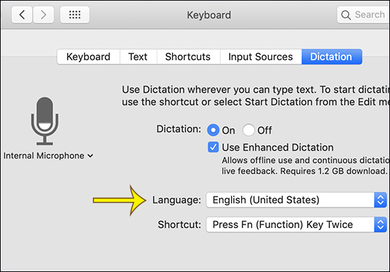 use build in mic in mac for word dictation